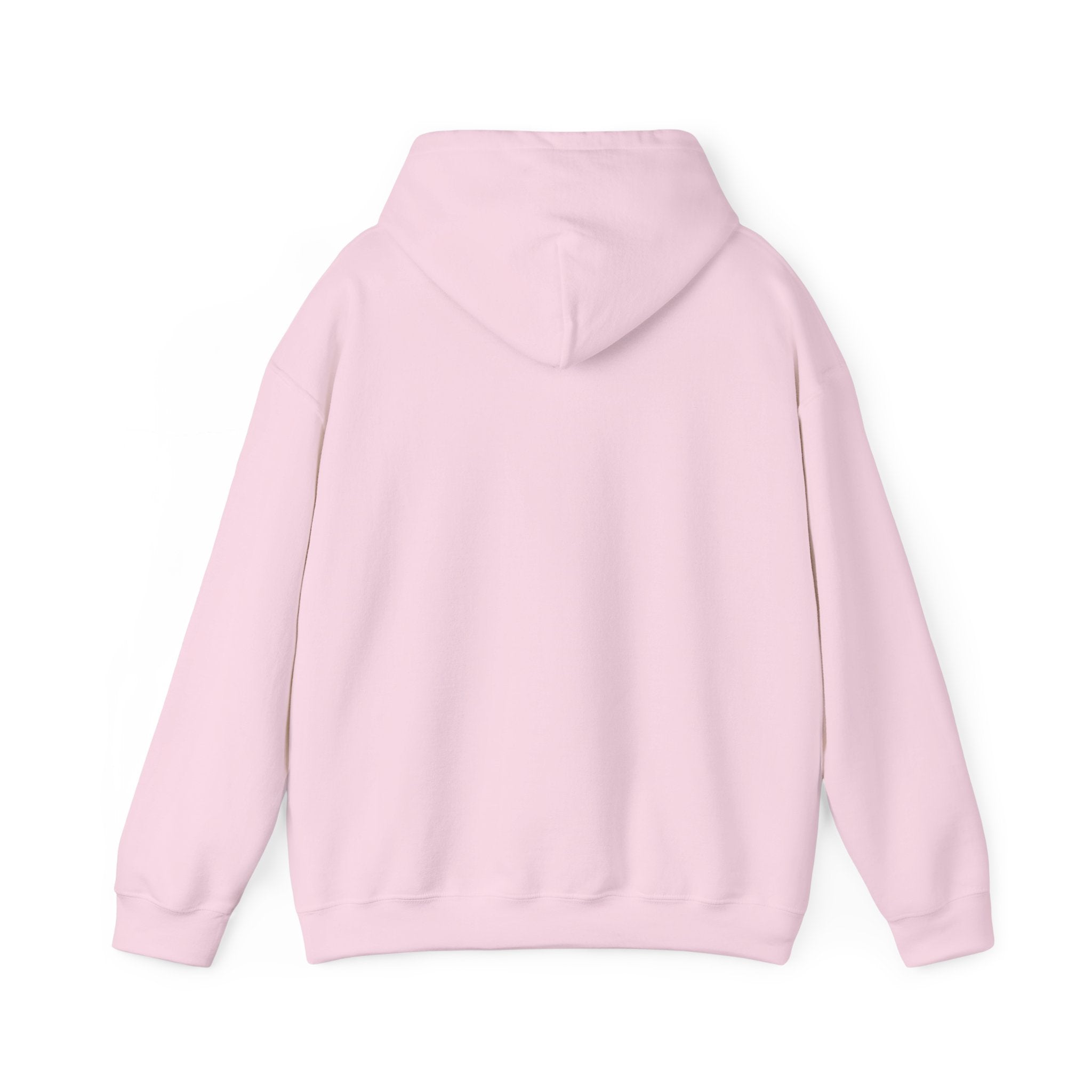 Seagull on Microphone Hoodie — Cute Bird Music Lover Pullover