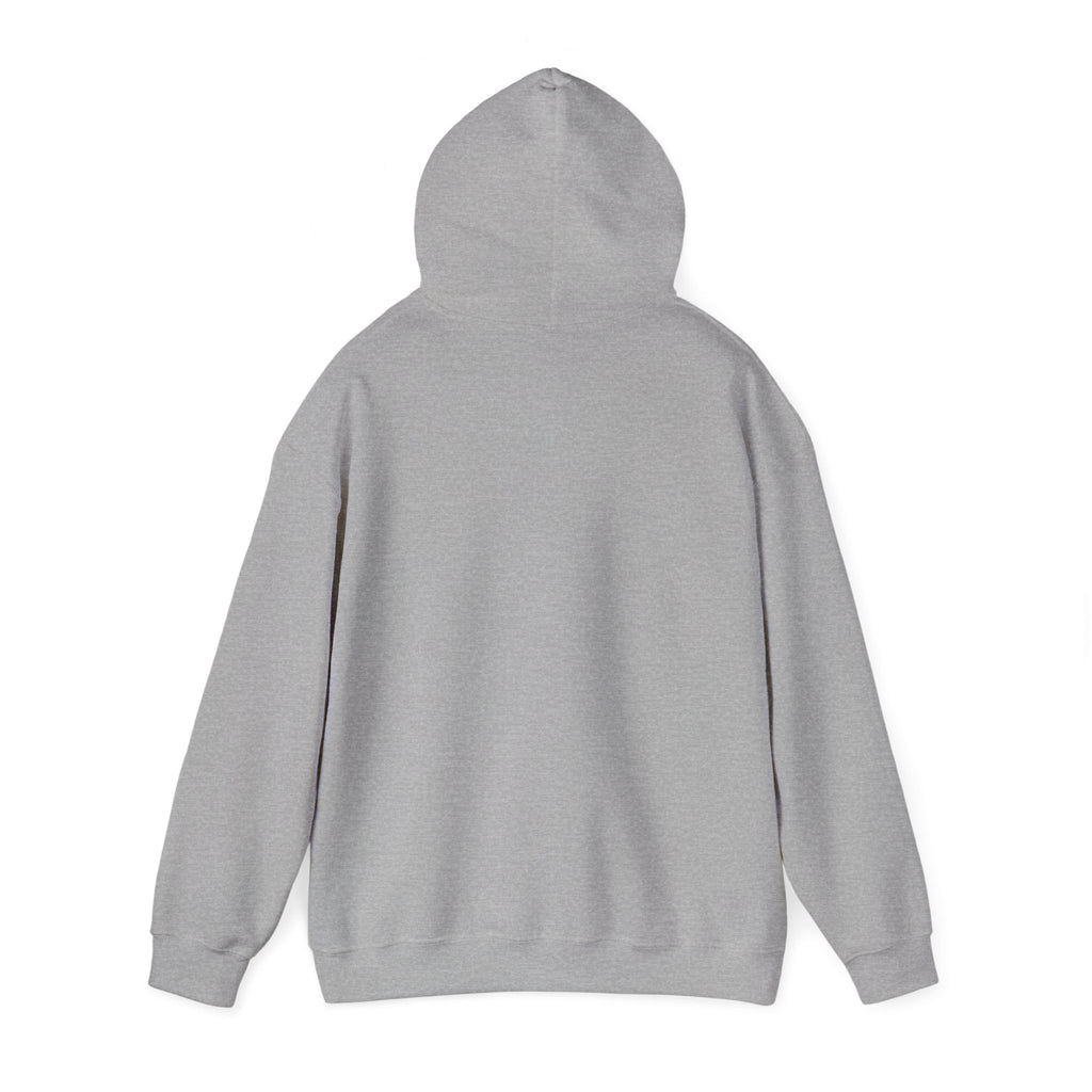 Seagull on Microphone Hoodie — Cute Bird Music Lover Pullover