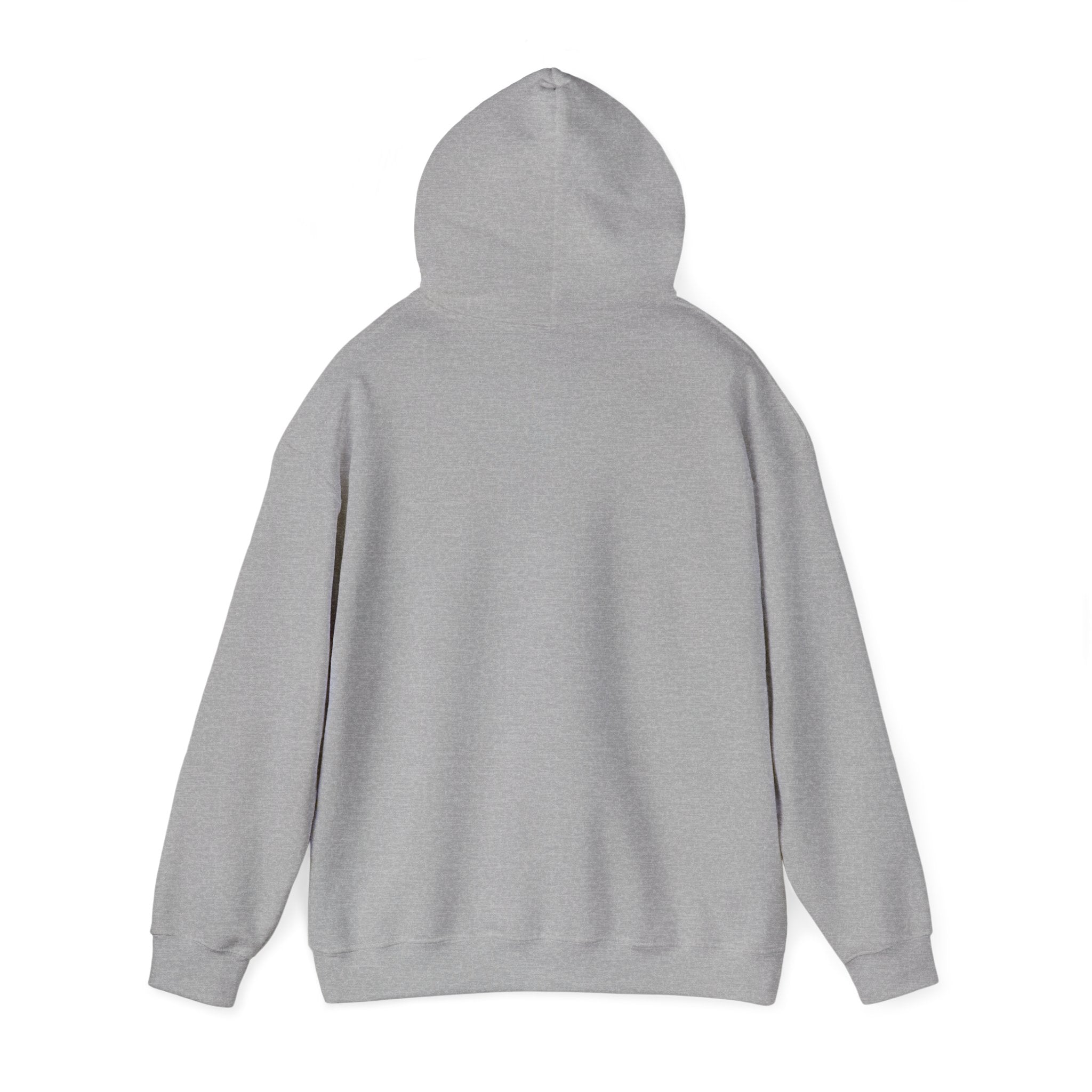 Seagull on Microphone Hoodie — Cute Bird Music Lover Pullover
