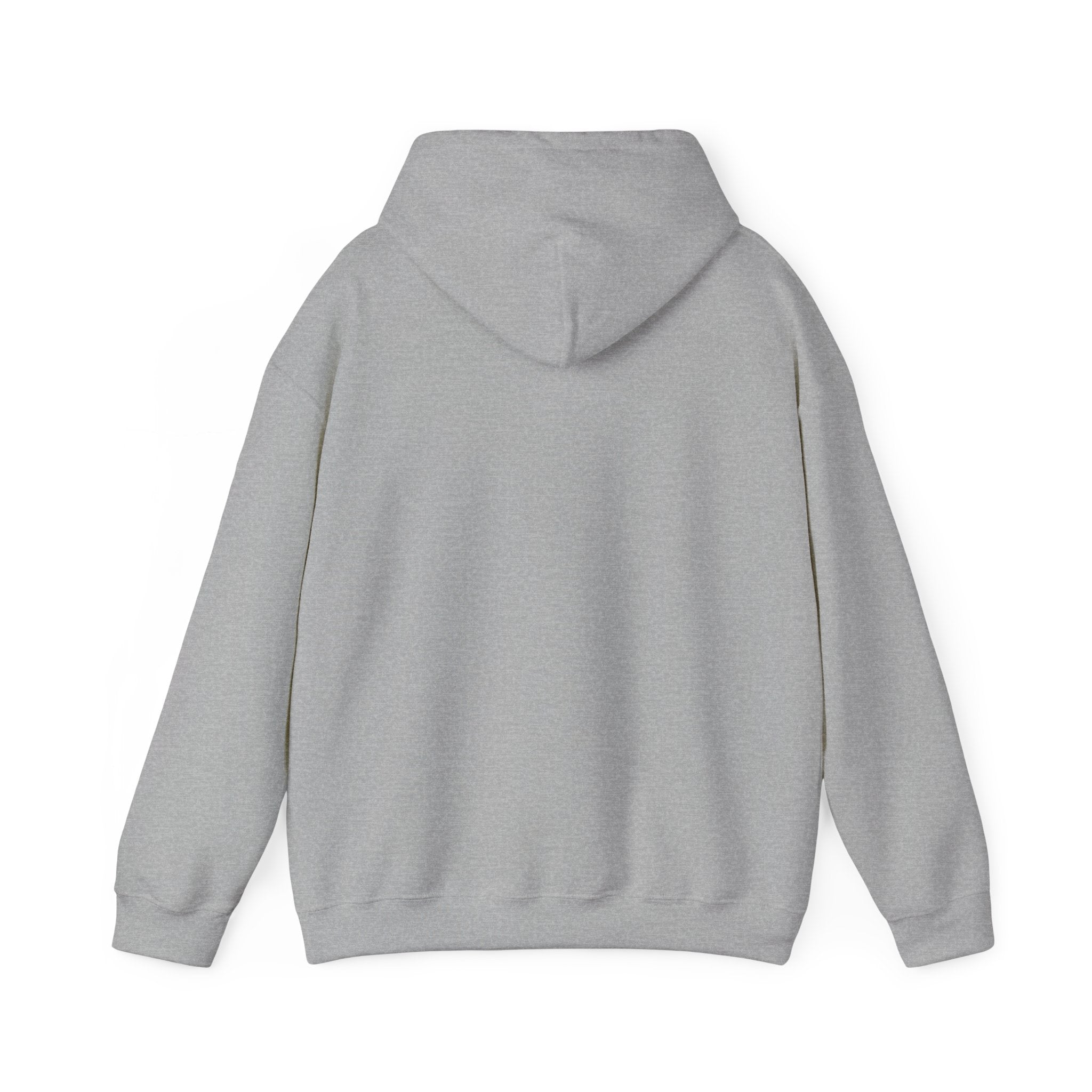 Seagull on Microphone Hoodie — Cute Bird Music Lover Pullover