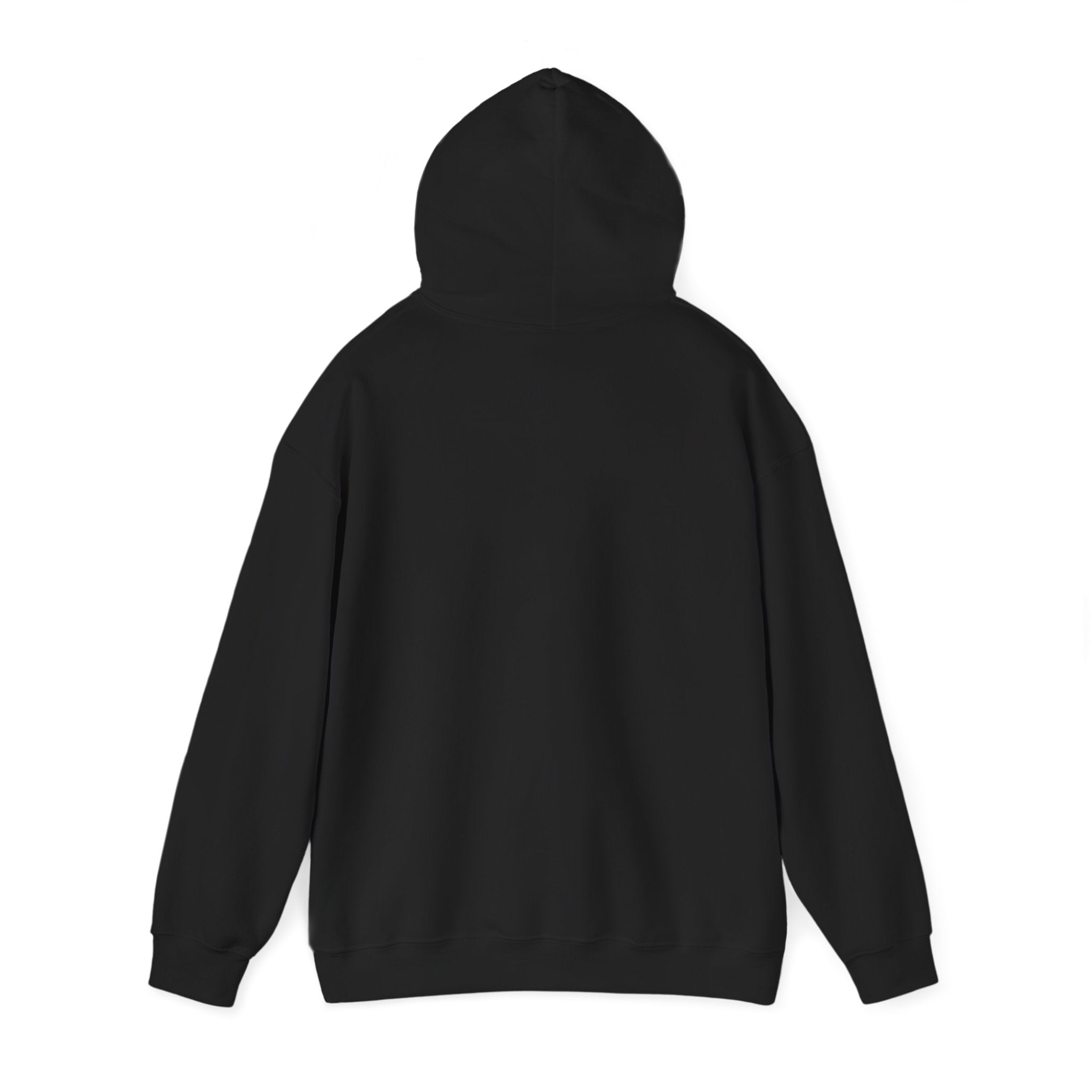 Seagull on Microphone Hoodie — Cute Bird Music Lover Pullover