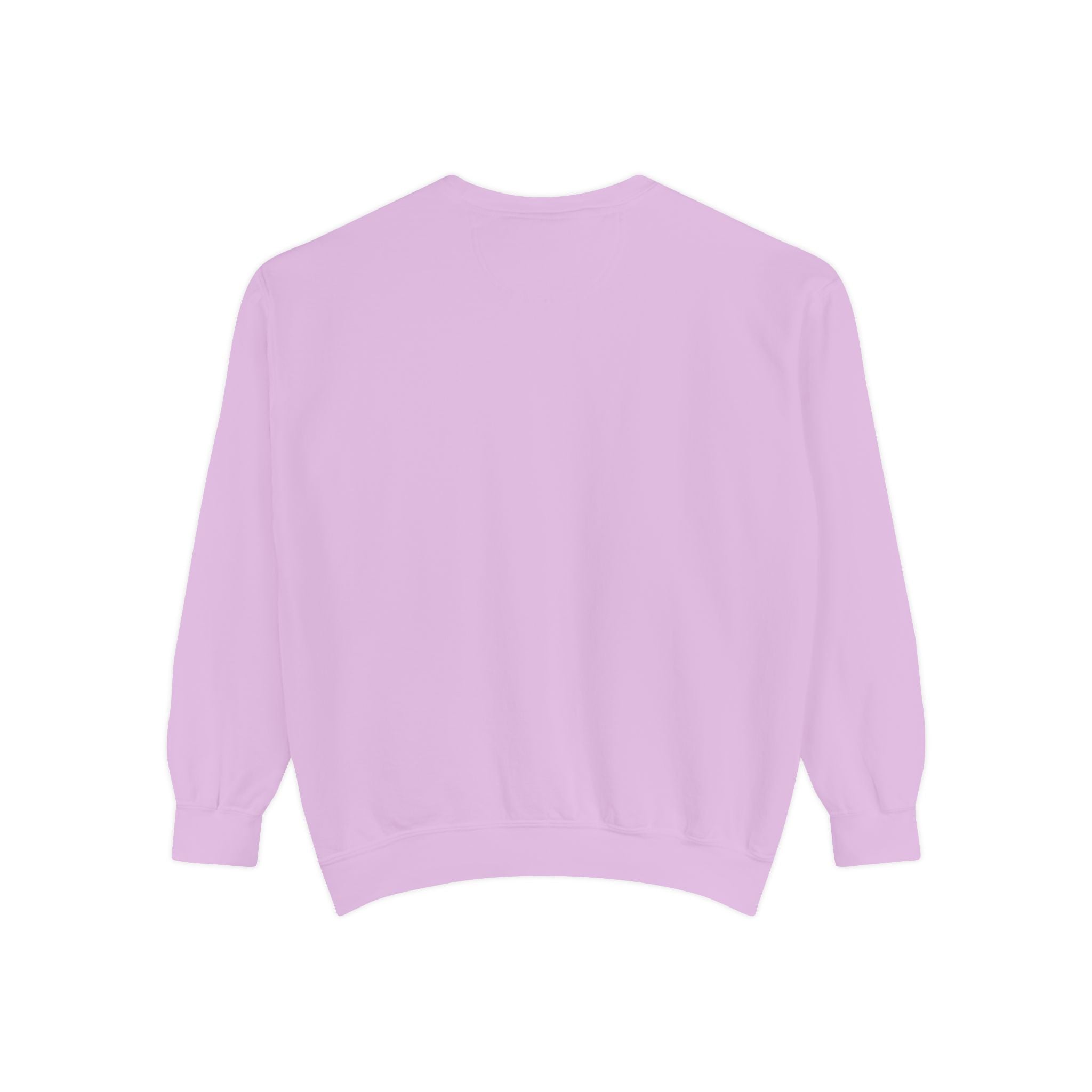 Duck & Microphone Sweatshirt — Cute Musician Graphic Crewneck
